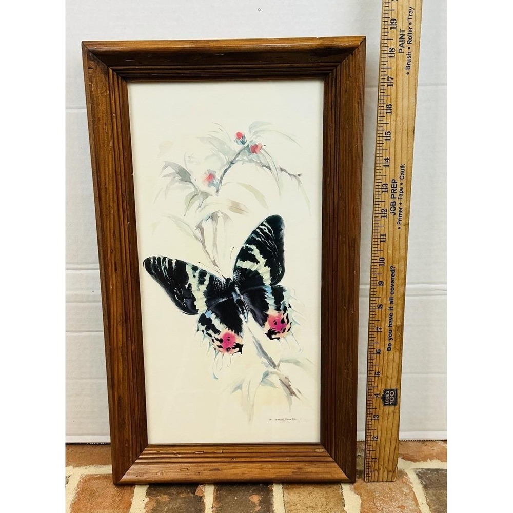 VINTAGE 1980 Sunset Moth Butterfly Watercolor Lithograph Print Wood Frame